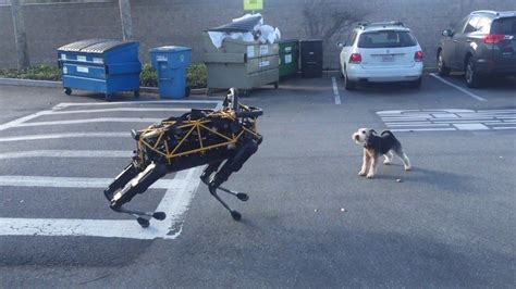 G­o­o­g­l­e­­ı­n­ ­R­o­b­o­t­ ­K­ö­p­e­ğ­i­n­i­ ­G­e­r­ç­e­k­ ­K­ö­p­e­k­ ­i­l­e­ ­O­y­n­a­r­k­e­n­ ­S­e­y­r­e­d­i­n­